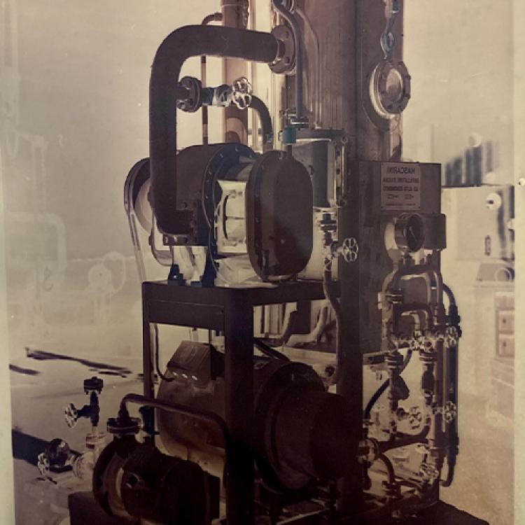 1946